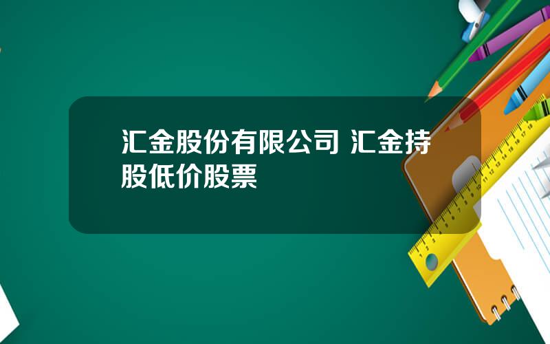 汇金股份有限公司 汇金持股低价股票